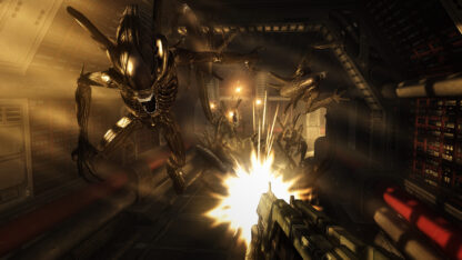 Aliens VS Predator Collection Global Steam Key - Image 4