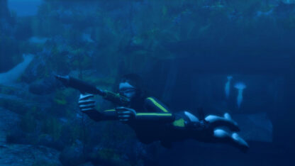 Tomb Raider: Underworld Global Steam Key - Image 2