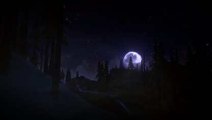 The Long Dark: Survival Edition Steam Key - Image 9