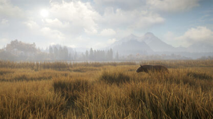 theHunter: Call of the Wild Global Steam Key - Image 3