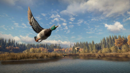 theHunter: Call of the Wild Global Steam Key - Image 5