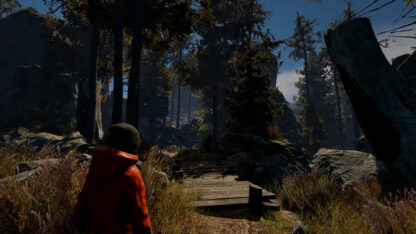 Through The Woods Global Steam Key - Image 4